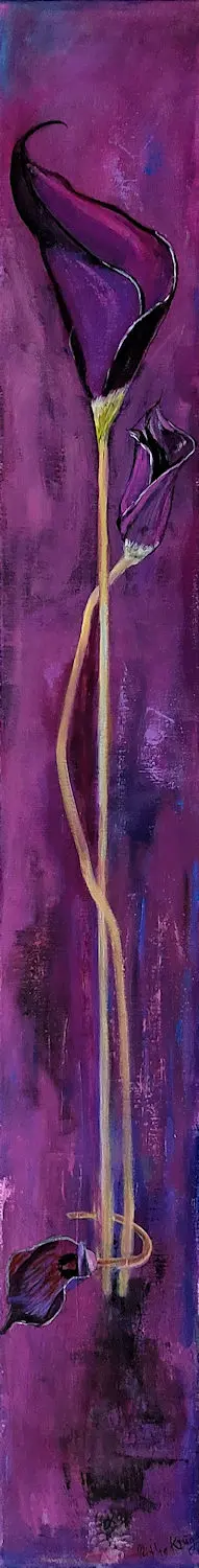 Purple Calla